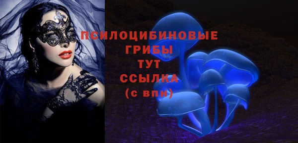 мдма Михайловск