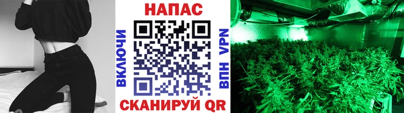 МАРИХУАНА ГИДРОПОН Хвалынск